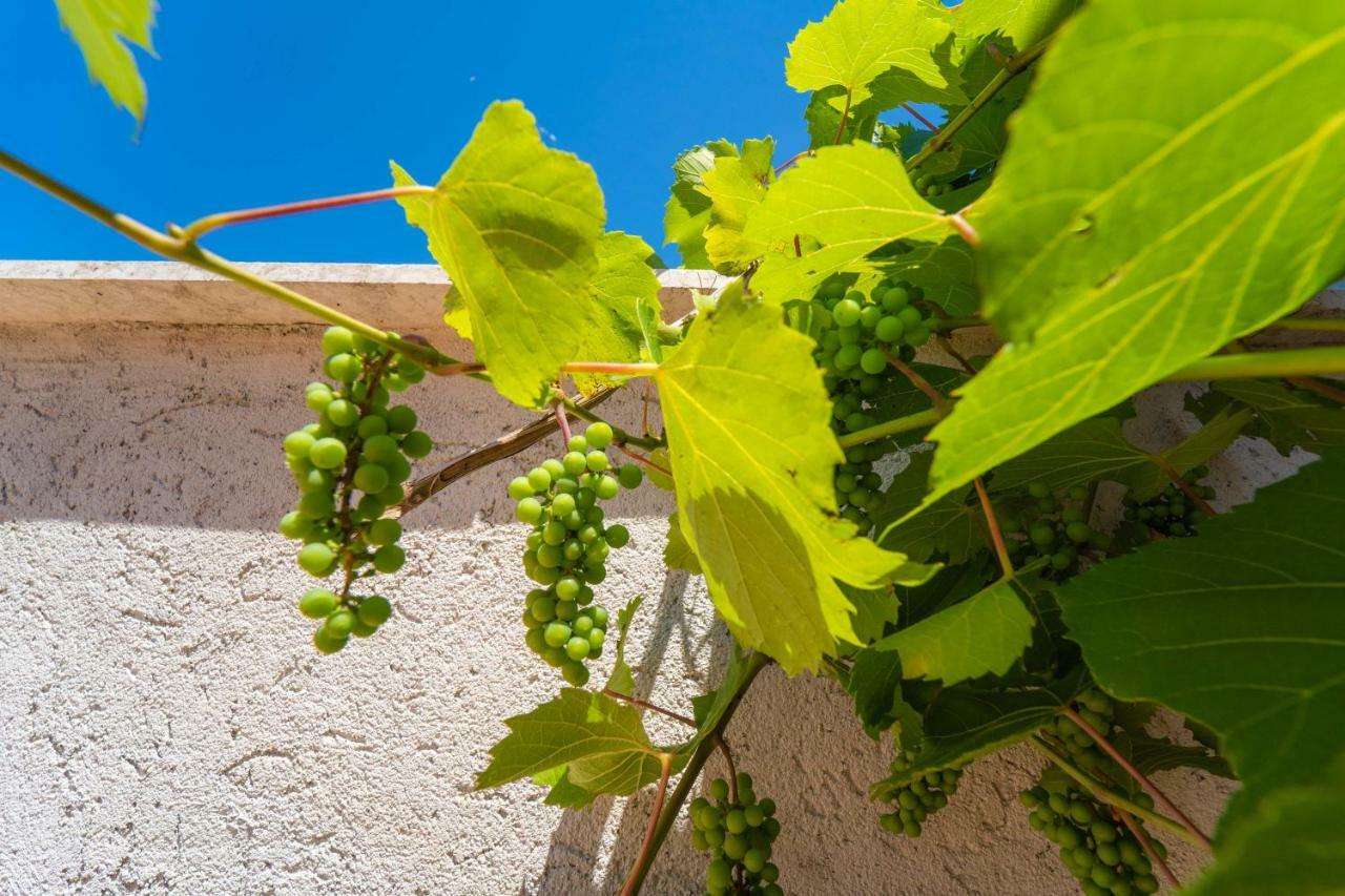 Holiday Home Carla And Dajana Veliki Vareski Exterior photo